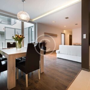 Security Window Film